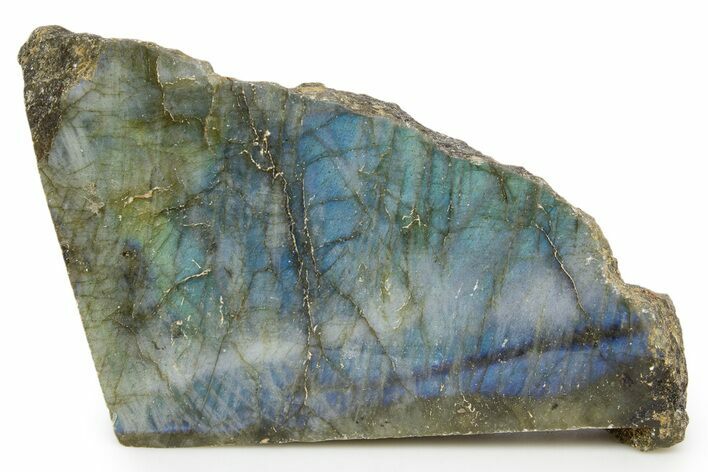 Single Side Polished Labradorite Section - Madagascar #324637